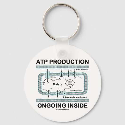 内部でATP生産が進行中 キーホルダー (正面)