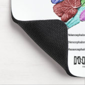 内部に散在した(脳解剖学的ユーモア) マウスパッド (コーナー)