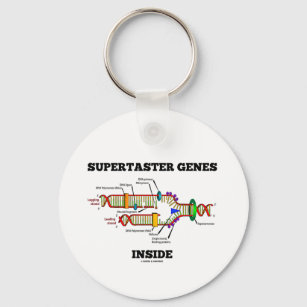 内部のスーパータスター遺伝子（DNA複製） キーホルダー