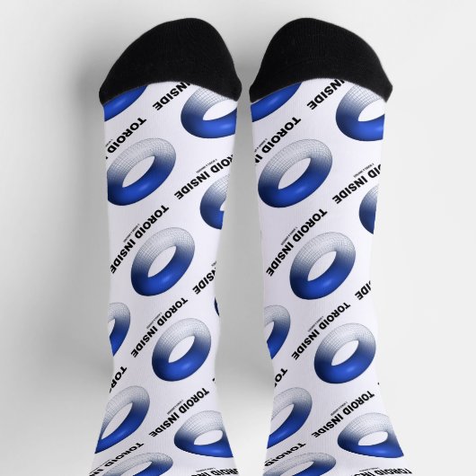 内部のトーロイド（青いトーラス） ソックス (上部)