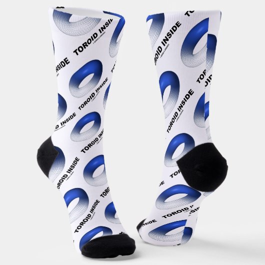内部のトーロイド（青いトーラス） ソックス (傾斜あり)