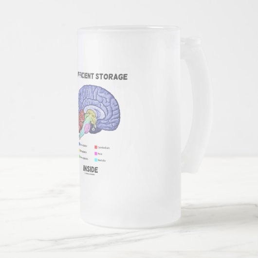 内部の不十分な収納(脳解剖学的ユーモア) フロストグラスビールジョッキ (正面右)