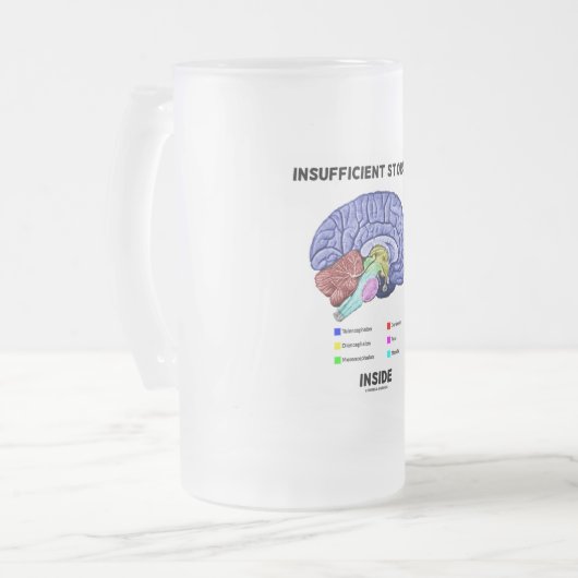 内部の不十分な収納(脳解剖学的ユーモア) フロストグラスビールジョッキ (正面左)