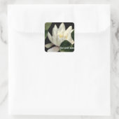 内部の光 スクエアシール (バッグ)