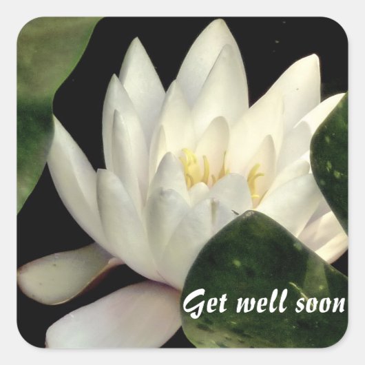 内部の光 スクエアシール (正面)