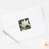 内部の光 スクエアシール (封筒)