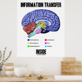 内部の情報伝達（脳解剖学） ポスター (キッチン)