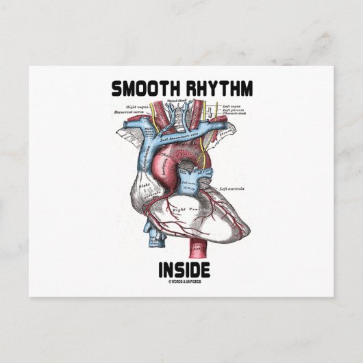 内部の滑らかなリズム(医学的ハート) ポストカード (正面)