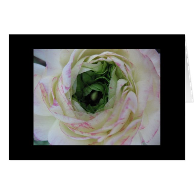 内部の美しい (正面横)