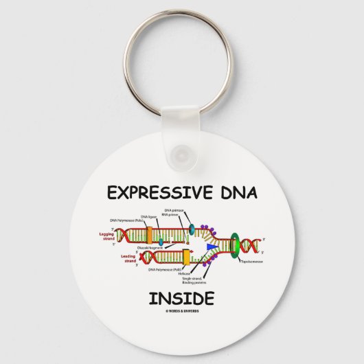 内部の表情豊かなDNA (DNA複製) キーホルダー (正面)