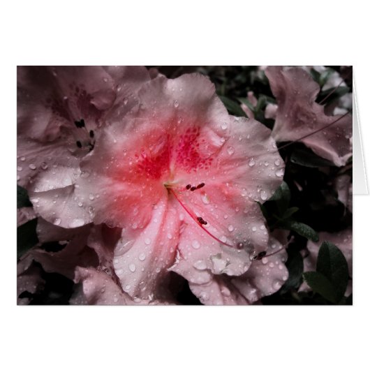 内部グローカード (正面横)