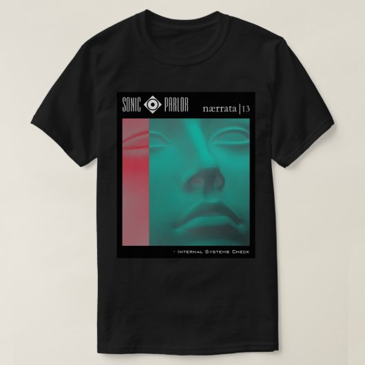 内部システムの点検 Tシャツ (デザイン正面)