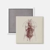 内部体 マグネット (正面/裏面)