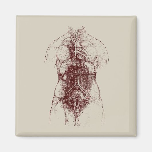 内部体 マグネット (正面)