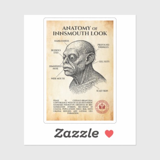 内部外観の解剖学 – 内部注記， 19 シール (シート)