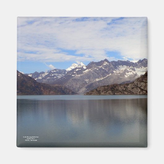 内部通路反射磁石 マグネット (正面)