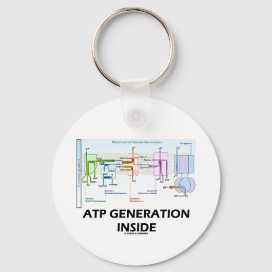 内部ATP生成（電子輸送鎖） キーホルダー (正面)