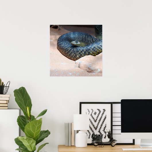 内陸タイパン ポスター (ホームオフィス)