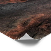 内陸タイパン ポスター (角)