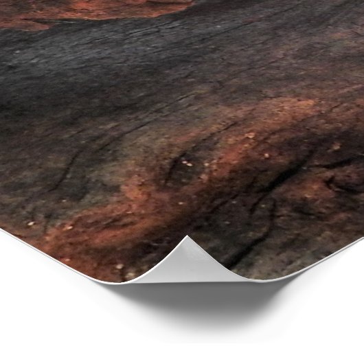 内陸タイパン ポスター (角)