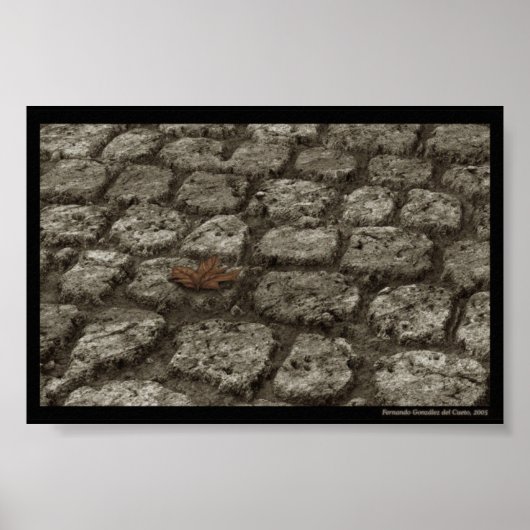 内面的な ポスター (正面)