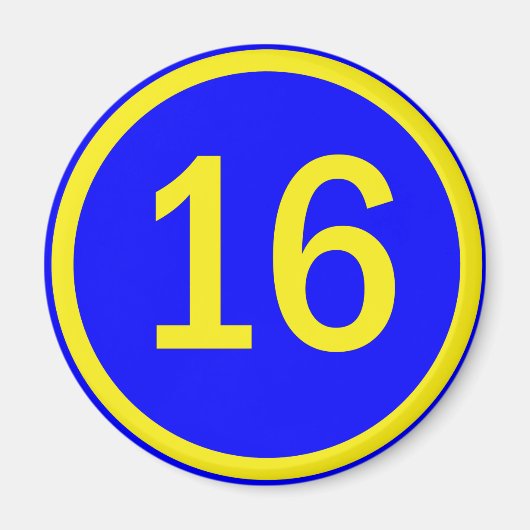 円の中の16番 マグネット (正面)