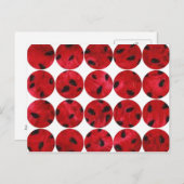 円の写真の郵便はがき ポストカード (正面/裏面)