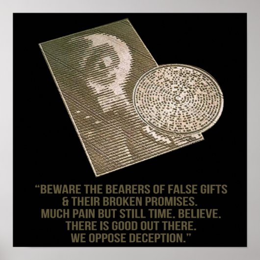 円を芸術的切り抜き ポスター (正面)