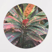 円ラベル ラベル (デザイン1)