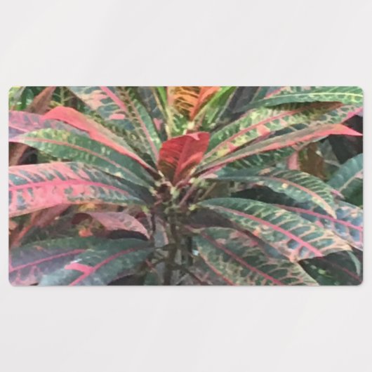 円ラベル ラベル (デザイン3)