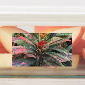 円ラベル ラベル (貼付)