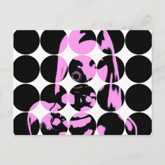 円写真はがき ポストカード