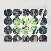 円写真はがき ポストカード (正面)