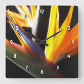 円形の時計極楽鳥 スクエア壁時計 (正面)