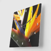 円形の時計極楽鳥 スクエア壁時計 (傾斜)