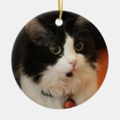 円形の目を持つ白黒猫 セラミックオーナメント (正面)