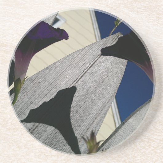 円形の飲み物のコースター コースター (正面)