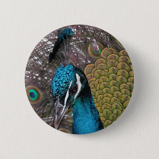 円形ボタン 缶バッジ (正面)