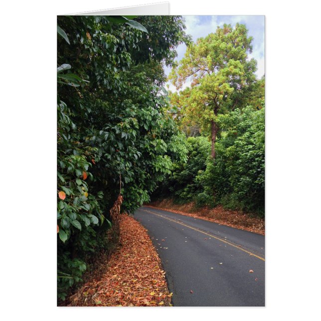 円形上ドライブ (正面)