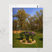 円状美しい葉書 ポストカード (正面/裏面)