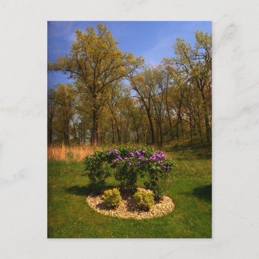 円状美しい葉書 ポストカード (正面)