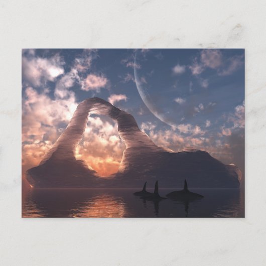 円環状はがき ポストカード (正面)