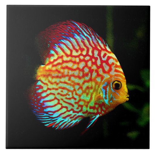円盤投げのアクアリウムの魚の装飾的なタイル タイル (正面)