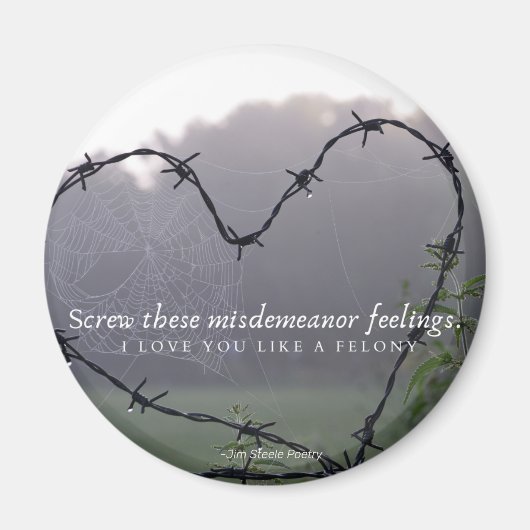 円磁石有刺線 マグネット (正面)