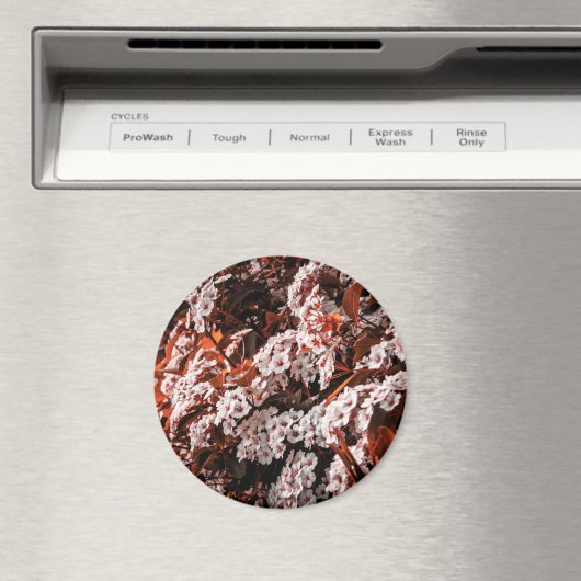 円磁石 マグネット (インサイチュ (食洗機))