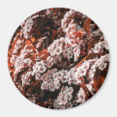 円磁石 マグネット (正面)