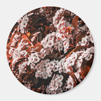 円磁石 マグネット