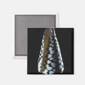 円錐シェル2 マグネット (正面/裏面)