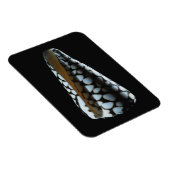 円錐シェル2 マグネット (右側)