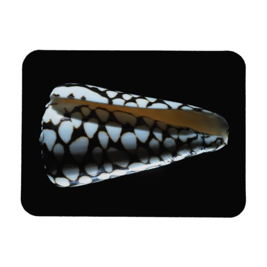 円錐シェル2 マグネット (横)